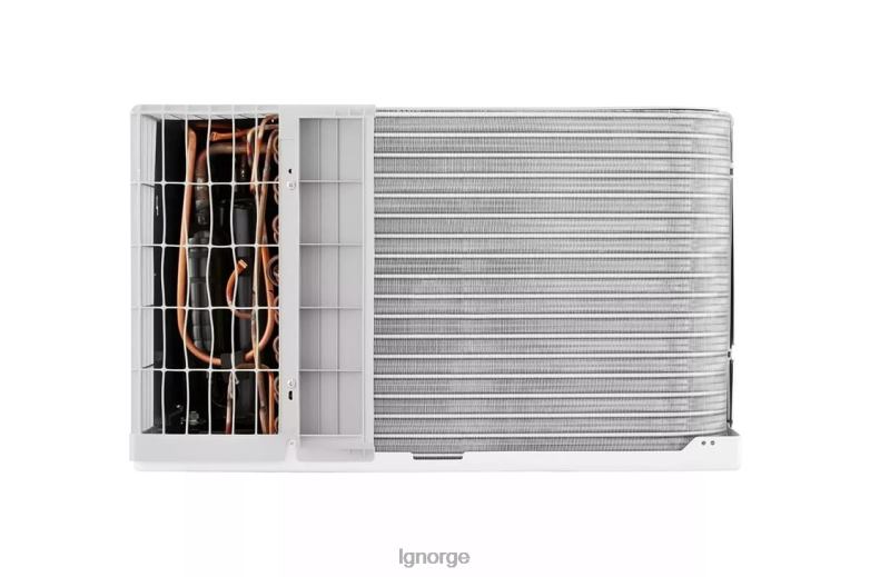 klimaanlegg| LG 12 000 btu 115v gjennom-veggen klimaanlegg J62J420