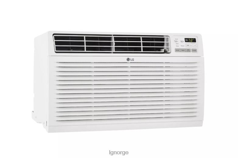 klimaanlegg| LG 10 000 btu 230v gjennom-veggen klimaanlegg med varme J62J438