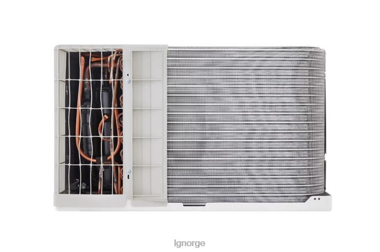 klimaanlegg| LG 10 000 btu 230v gjennom-veggen klimaanlegg med varme J62J438